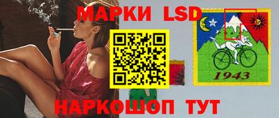 тгк Камышлов