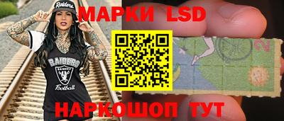 тгк Камышлов
