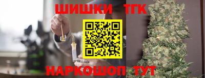 тгк Камышлов