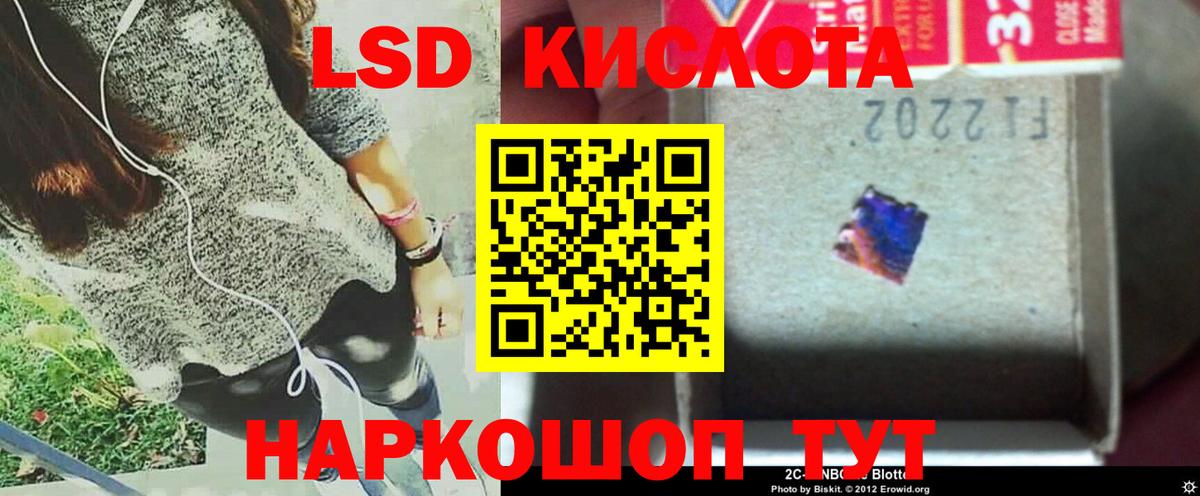 ГАШ Выборг