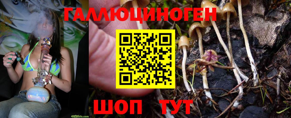 Псилоцибиновые грибы прущие грибы  Псилоцибиновые грибы мицелий  Вход с VPN  магазин продажи наркотиков  Выборг 