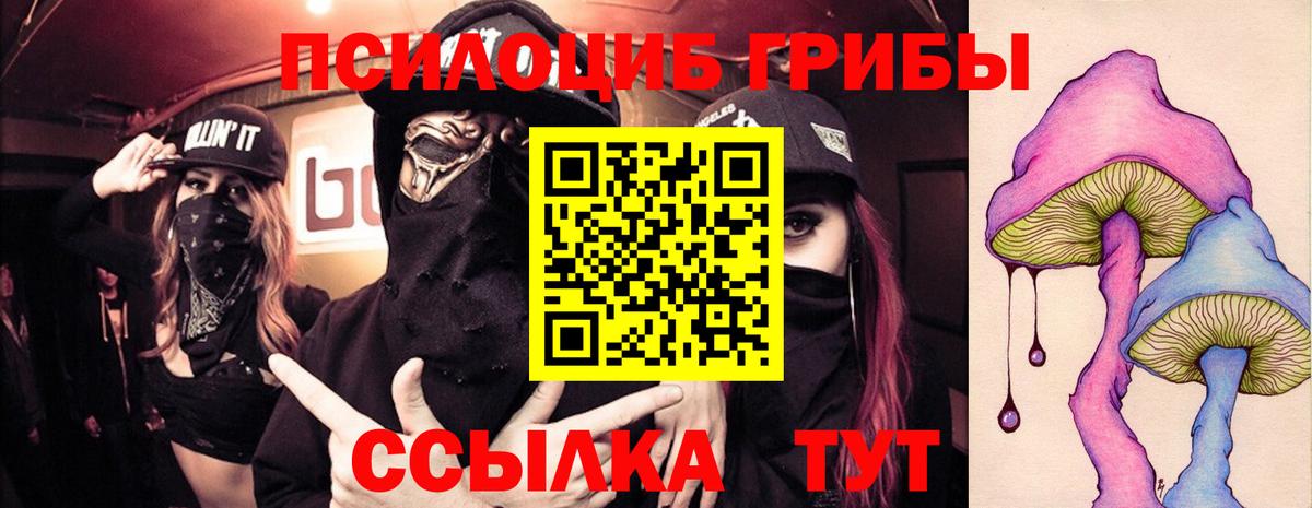 Галлюциногенные грибы GOLDEN TEACHER Выборг